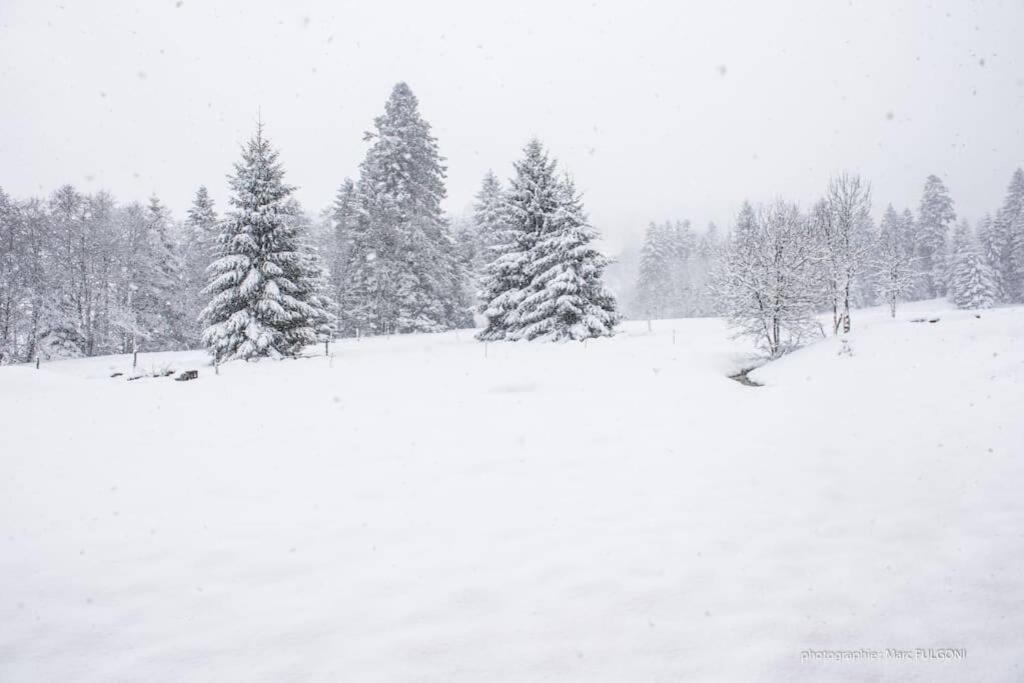 Chalet Charligustine - Gerardmer - 8P 외부 사진
