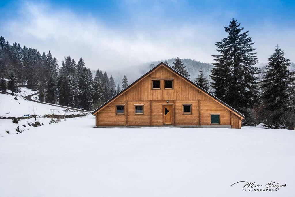 Chalet Charligustine - Gerardmer - 8P 빌라 외부 사진