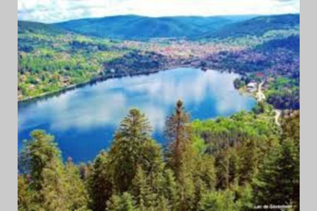 Chalet Charligustine - Gerardmer - 8P 외부 사진